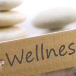 What Are The 4 Most Important Components of Wellness?