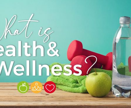 What is The Between Health And Wellness?